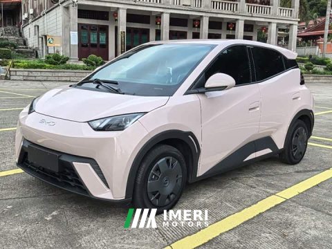 2025 BYD Seagull 305km Vitality Edition - ავტომობილი ჩინეთიდან
