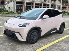 BYD Seagull 305km Vitality Edition - ფოტო 2