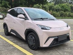 BYD Seagull 305km Vitality Edition - ფოტო 4