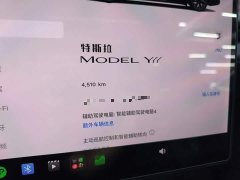 Tesla Model Y L 2025 Long Range All-Wheel Drive - ფოტო 12