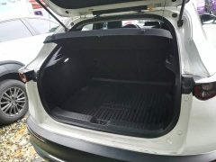 Mazda CX-30 EV 2021 Pure Electric Comfort Edition - ფოტო 19