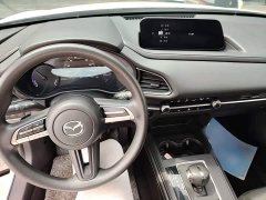 Mazda CX-30 EV 2021 Pure Electric Comfort Edition - ფოტო 10