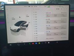 Tesla Model 3 2023 Rear-Wheel Drive - ფოტო 12