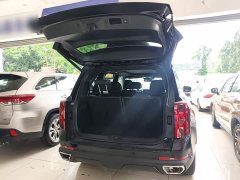 GAC Aion GS8 2024 Pioneer Series 2.0T GDI FWD Luxury Smart Connected 7-Seater - ფოტო 19
