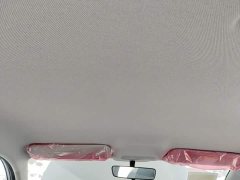 Geely Star Wish 410km Comfort Edition - ფოტო 18