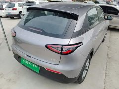 Geely Star Wish 410km Comfort Edition - ფოტო 7