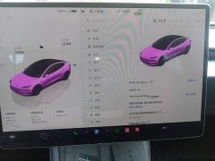 Tesla Model 3 2023 Rear-Wheel Drive - ფოტო 12