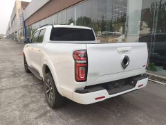 Mercedes-Benz Cannon 2023 2.0T Passenger Auto Gasoline AWD Sport GW4C20B - ფოტო 5