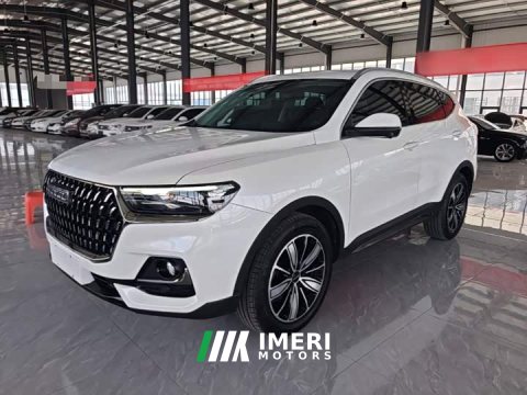 2023 Haval H6 National Trend Edition 1.5T Automatic Champion Version - ავტომობილი ჩინეთიდან