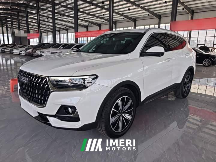 Haval H6 National Trend Edition 1.5T Automatic Champion Version