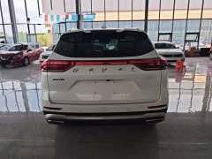 Haval H6 National Trend Edition 1.5T Automatic Champion Version - ფოტო 6