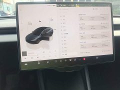 Tesla Model 3 2023 Long Range All-Wheel Drive - ფოტო 13