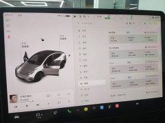 Tesla Model Y 2021 Standard Range RWD - ფოტო 12