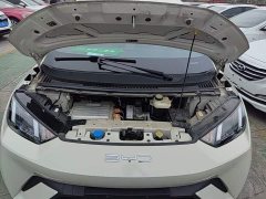BYD Seagull Freedom Edition - ფოტო 20