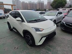 BYD Seagull Freedom Edition - ფოტო 4