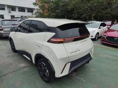 BYD Seagull Freedom Edition - ფოტო 5