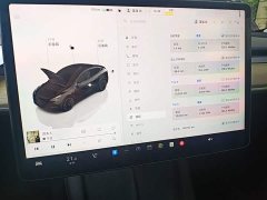 Tesla Model Y 2022 Facelift Rear-Wheel Drive - ფოტო 12
