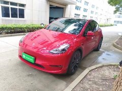 Tesla Model Y Performance All-Wheel Drive - ფოტო 2