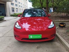 Tesla Model Y Performance All-Wheel Drive - ფოტო 3