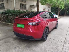 Tesla Model Y Performance All-Wheel Drive - ფოტო 5