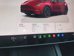 Tesla Model Y Performance All-Wheel Drive - ფოტო 8