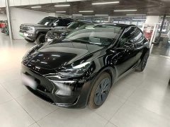 Tesla Model Y Rear-Wheel Drive - ფოტო 2