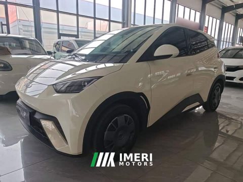 2024 BYD Seagull 2025 305km Vitality Edition - ავტომობილი ჩინეთიდან