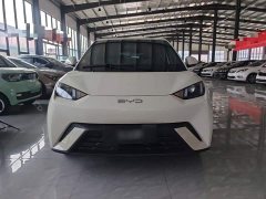 BYD Seagull 2025 305km Vitality Edition - ფოტო 3