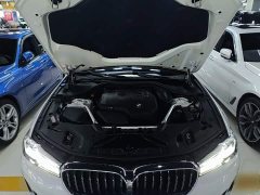 BMW 5 Series Facelift 530Li Leading Edition Luxury Package - ფოტო 20