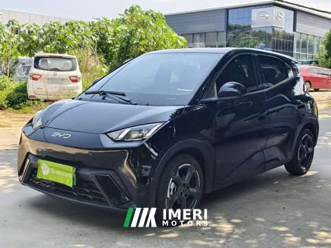 2024 BYD Seagull Glory Edition 405km Flying Edition - ავტომობილი ჩინეთიდან