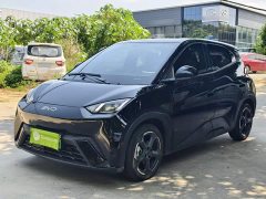 BYD Seagull Glory Edition 405km Flying Edition - ფოტო 2