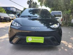BYD Seagull Glory Edition 405km Flying Edition - ფოტო 3