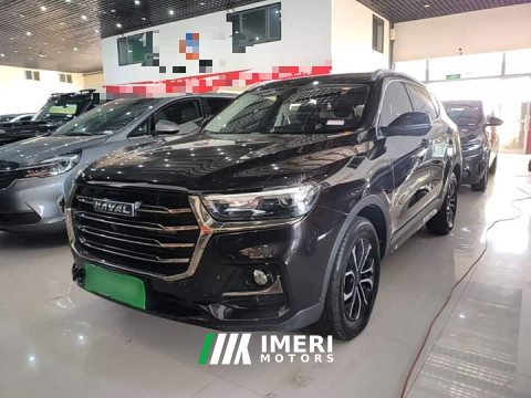2021 Haval H6 National Trend Edition 1.5T Automatic Urban Version - ავტომობილი ჩინეთიდან