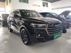 Haval H6 National Trend Edition 1.5T Automatic Urban Version - ფოტო 4