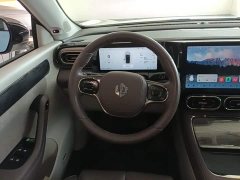 Leapmotor C11 2021 Executive 610 - ფოტო 11