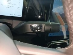 Leapmotor C11 2021 Executive 610 - ფოტო 14
