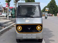 Forthing Dali Niu Mowang D02 120km Box Comfort Type - ფოტო 3