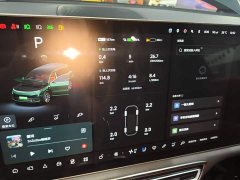 Li Auto L9 2023 Pro - ფოტო 12