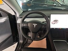 Tesla Model Y Rear-Wheel Drive - ფოტო 6