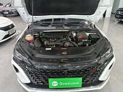 Dongfeng Yixuan MAX 1.5T Super Power Dad Edition - ფოტო 19