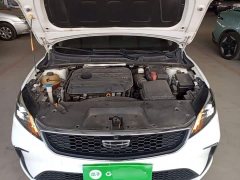 Geely Binrui 1.4T CVT Asian Games Edition - ფოტო 20