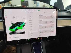 Tesla Model 3 2022 Rear-Wheel Drive - ფოტო 13