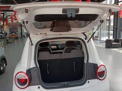 Changan Lumin 205km Pure Fragrance Edition - ფოტო 19