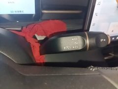 Wuling Xingguang S 510km Flagship - ფოტო 14