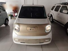 FAW Besturn Xiaoma 222km Dynamic Edition - ფოტო 3