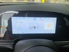 BYD Dolphin 06 EV 545KM Deluxe Edition - ფოტო 12