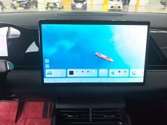 BYD Dolphin 06 EV 545KM Deluxe Edition - ფოტო 13