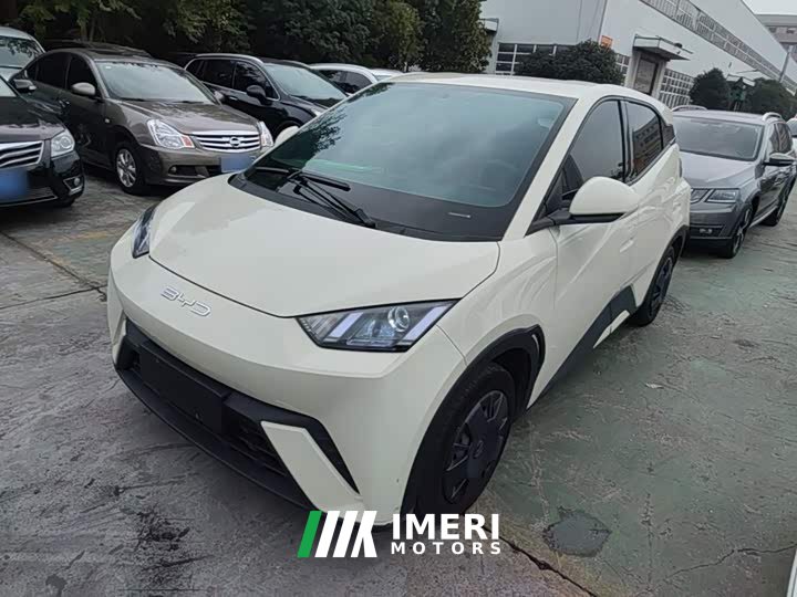 BYD Seagull Vitality Edition