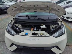 BYD Seagull Vitality Edition - ფოტო 20