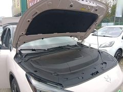 Arcfox Alpha S5 560MAX 185kW - ფოტო 20